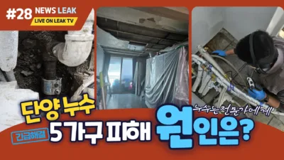 단양 누수 탐지 공사 - 매포 하나 아파트 탐지 성공 사례