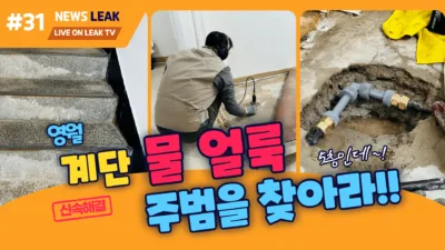 영월 동산 아파트 누수탐지 성공기 - 계단 물얼룩의 주범을 찾아라